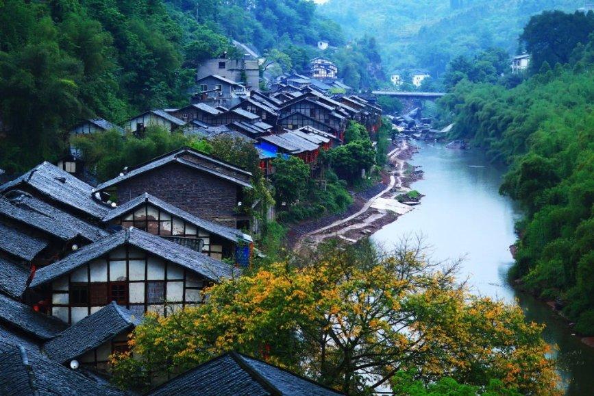 探索天涯问答交流平台有电子驾驶证纸质驾驶证还需要验审吗?